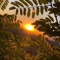 byerli_bunyaminyerli