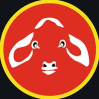 carniceria.enbolivia