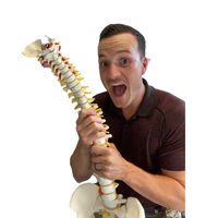 pittsburgh_chiropractor