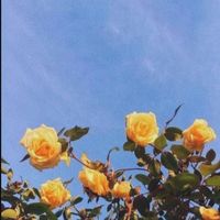 ._aesthetics_.04
