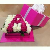 aysu_2191