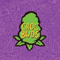 crocbudsoficial