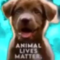 livithefunnyperson_1203