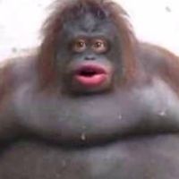 totallynotgeorgeclooney