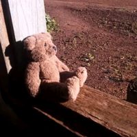migsvideos
