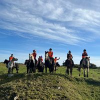 boskillequestriancentre