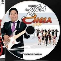 ernestofloresricachela