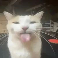 original sound - llamaking5834