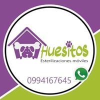 quirofanohuesitos