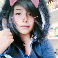 dyan_cat