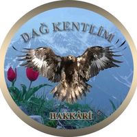 Avşin _ Lo Lo Mihemedo