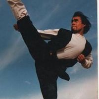 kungfu.losdragoneswushu
