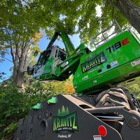 kravitztreeservice