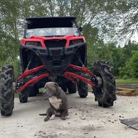 bigredpolarisgeneral