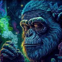 original sound - junglist_ninja