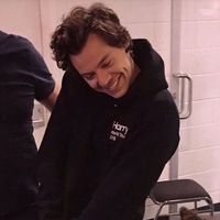 harrystylless