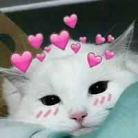 original sound - softwqves