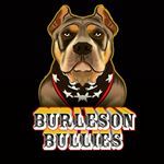burlesonbullies