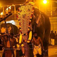 dhanyaammu04
