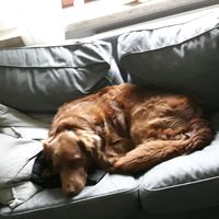 motteundfighty