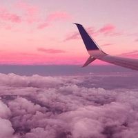 aesthetics_vibes103
