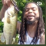 thejjohnsonexperience