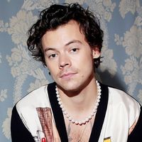 harrystyles..povs..yn