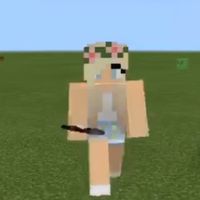 minecraft.urmom