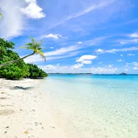 احمد شيبة انا بتقطع من جوايا طرب