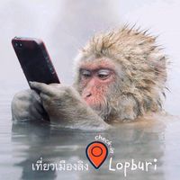 เสียงต้นฉบับ - เที่ยวเมืองลิง เช็คอินลพบุรี