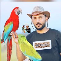 jobi_77
