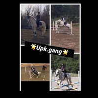 upk.gang
