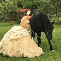 crystals.bridal