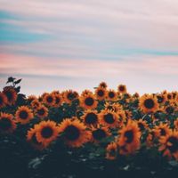 consigli._.ragazze02