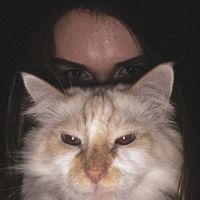 olya.cooot