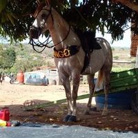 lulu.noberto