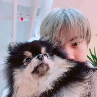 kpop_asher