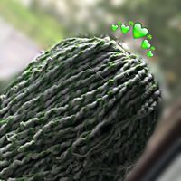 theromanianmop69