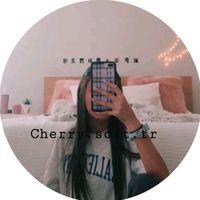 cherry.soft.tr