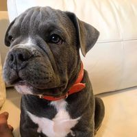 zeus.kn