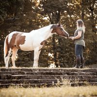 trixi_dasseelenpony