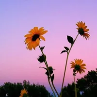 dancing with your ghost