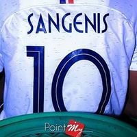 zipa_sangenis