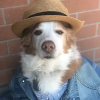 original sound - im_mazapan