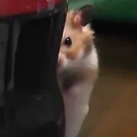 original sound - fandom.tunez