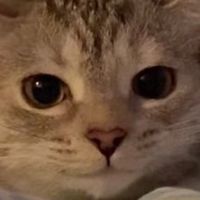 PureLinky x Hey Mickey Brainfunk