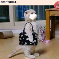оригинальный звук