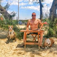pitbul.com.tr