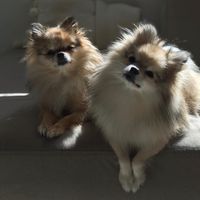 mel_and_milti