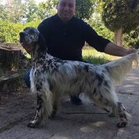 antoniobaratta1